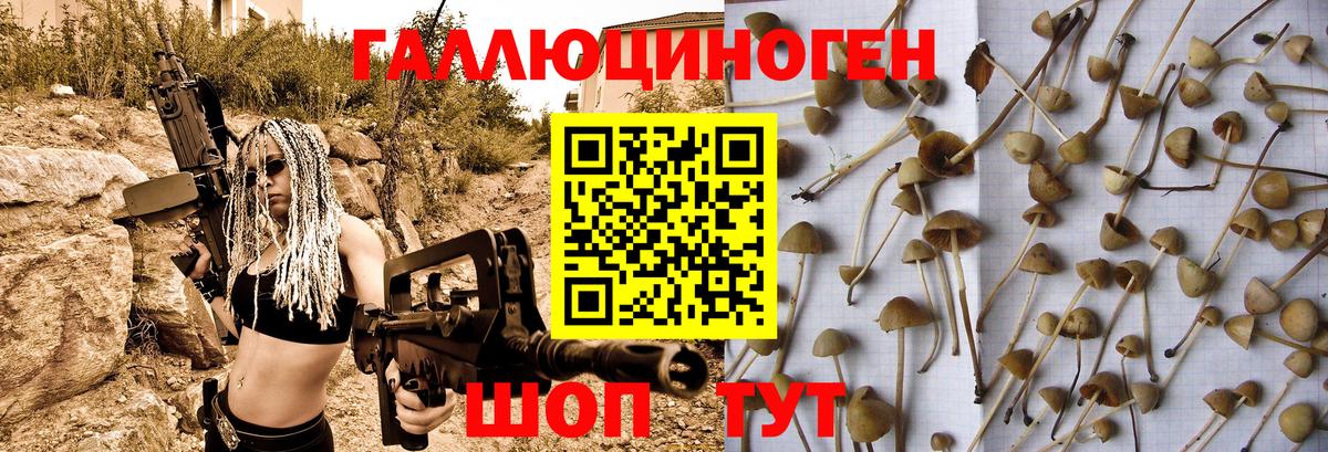 Галлюциногенные грибы GOLDEN TEACHER Шебекино