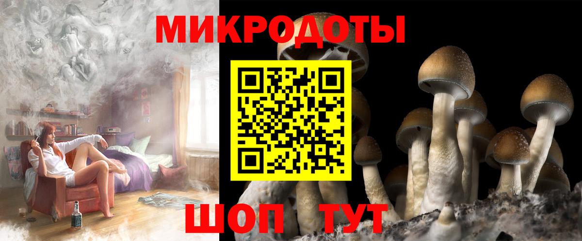 Шебекино  Псилоцибиновые грибы Psilocybe  Галлюциногенные грибы мухоморы  Вход с VPN 